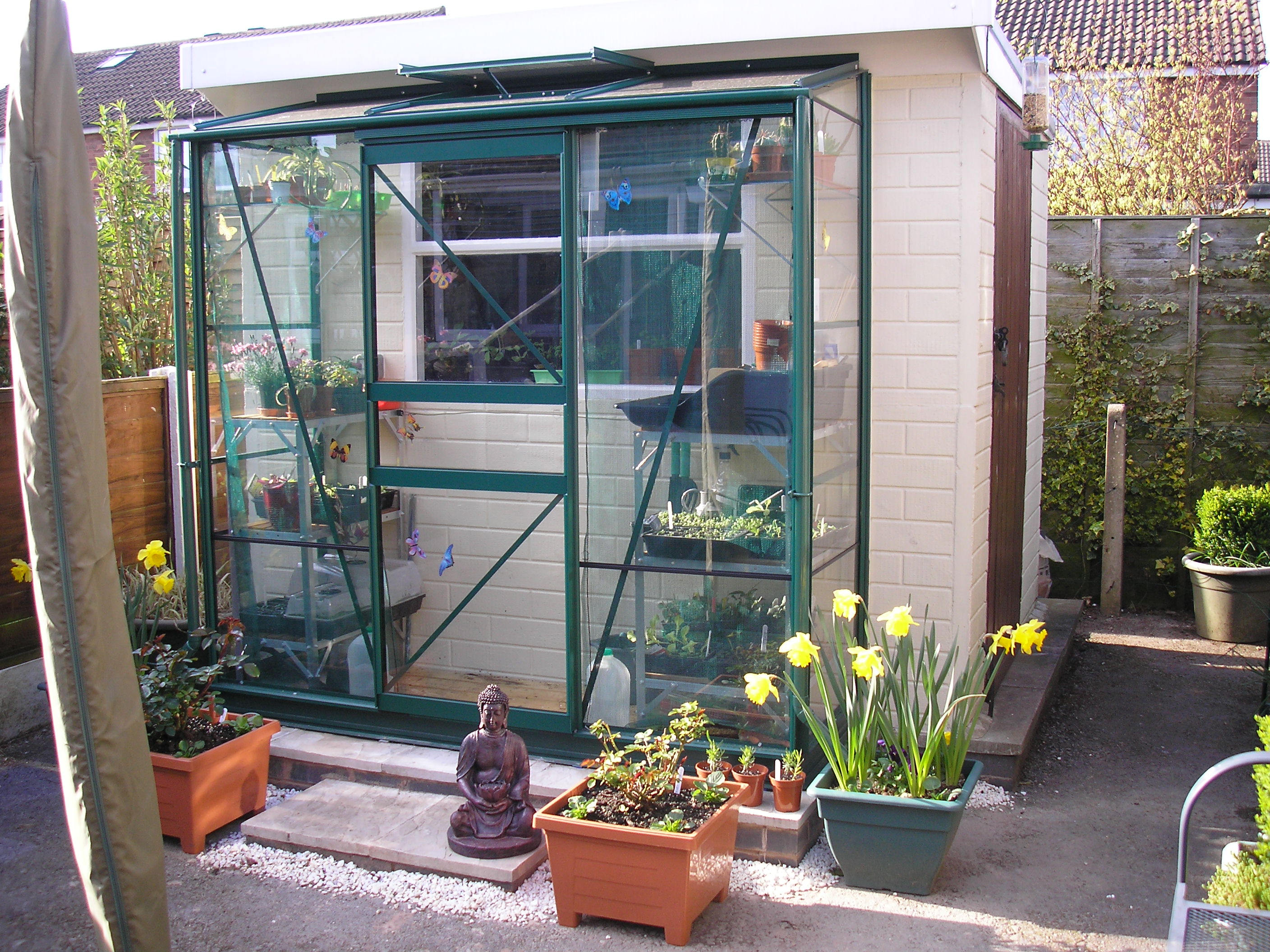 Simplicity Mini Leanto 2ftx6ft Greenhouse With Horticultural glass eBay