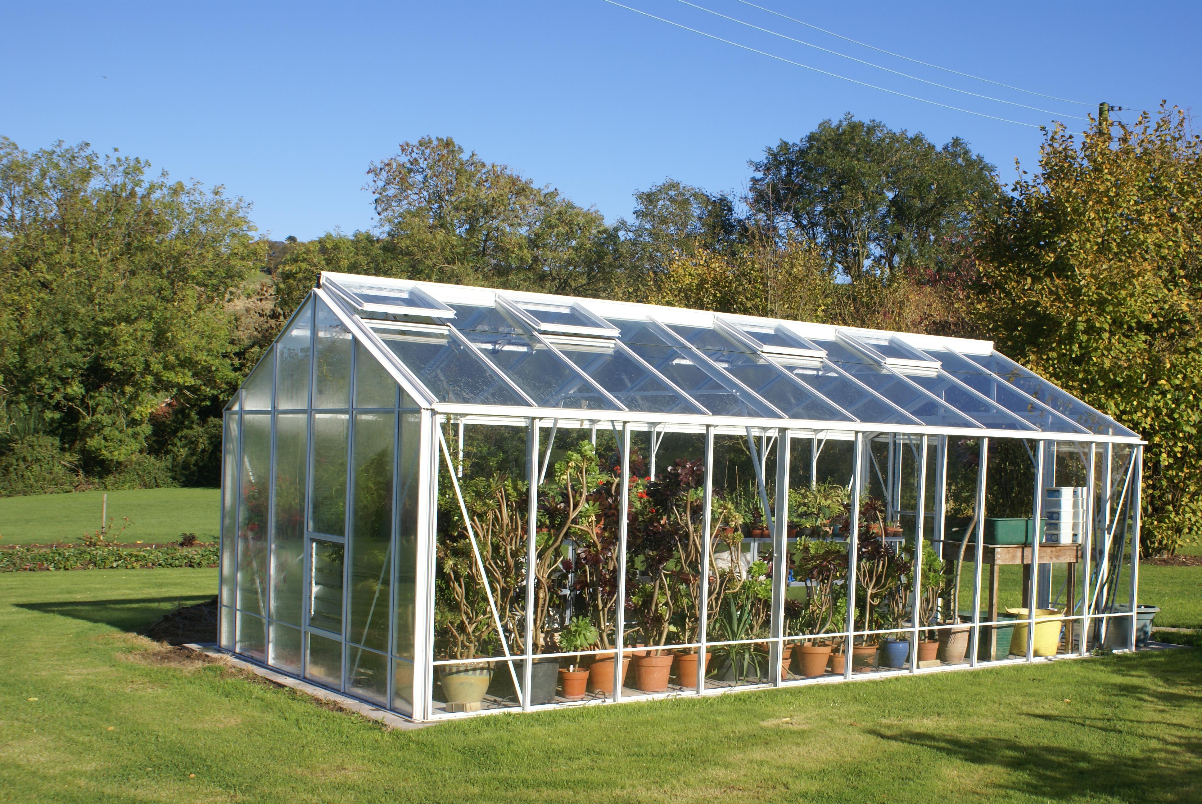 Rosette White Greenhouse (10